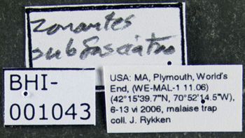 Media type: image;   Entomology 613388 Aspect: labels
